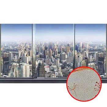 Фреска Ortograf