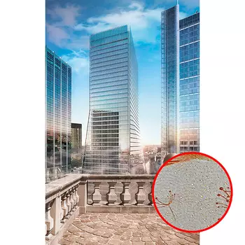 Фреска Ortograf