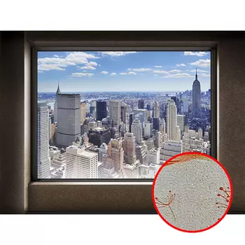 Фреска Ortograf