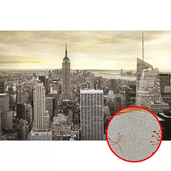 Фреска Ortograf