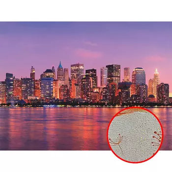 Фреска Ortograf