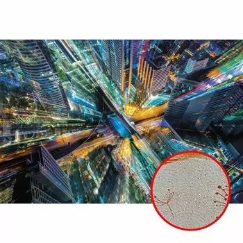 Фреска Ortograf