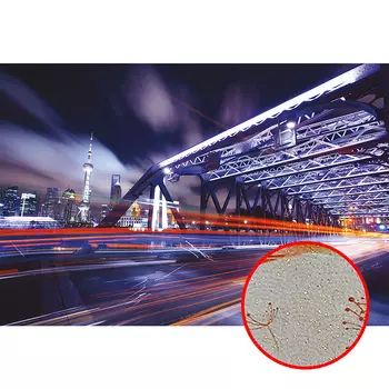 Фреска Ortograf