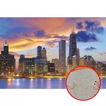 Фреска Ortograf