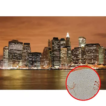 Фреска Ortograf