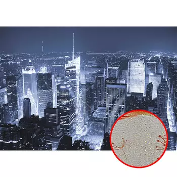 Фреска Ortograf