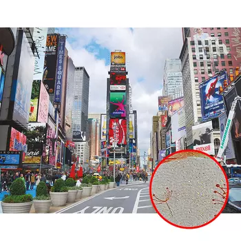 Фреска Ortograf