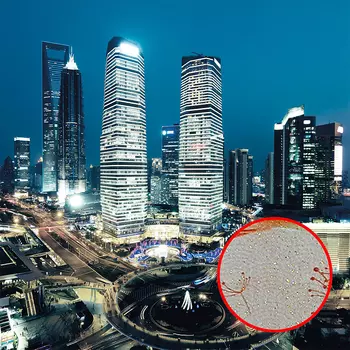 Фреска Ortograf