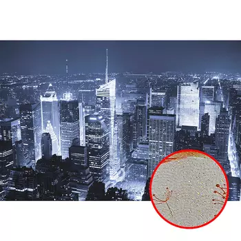 Фреска Ortograf