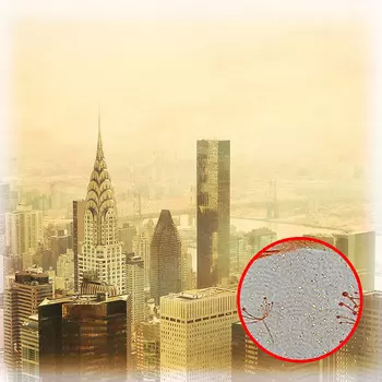 Фреска Ortograf