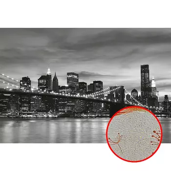 Фреска Ortograf