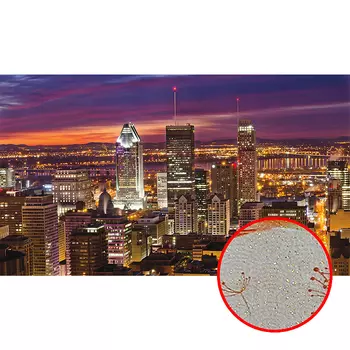 Фреска Ortograf