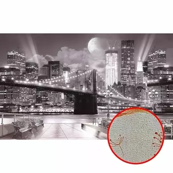 Фреска Ortograf