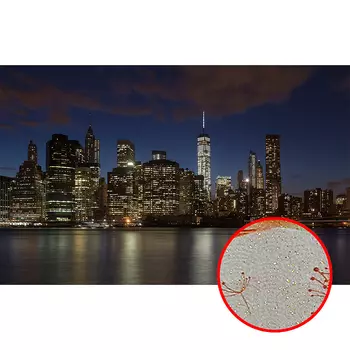 Фреска Ortograf