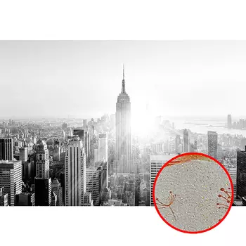 Фреска Ortograf