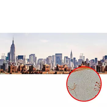 Фреска Ortograf