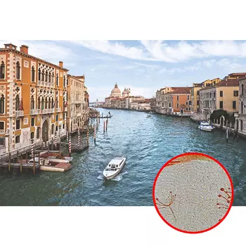 Фреска Ortograf