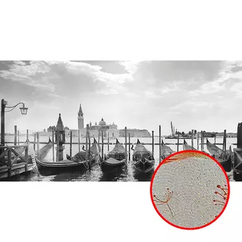 Фреска Ortograf