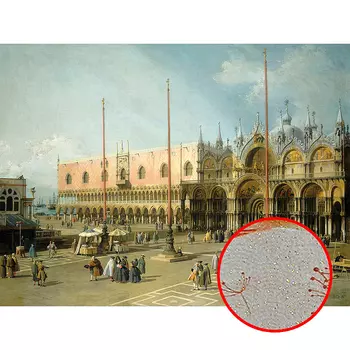 Фреска Ortograf