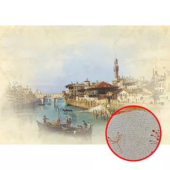 Фреска Ortograf