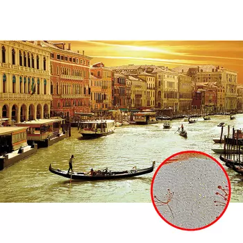 Фреска Ortograf