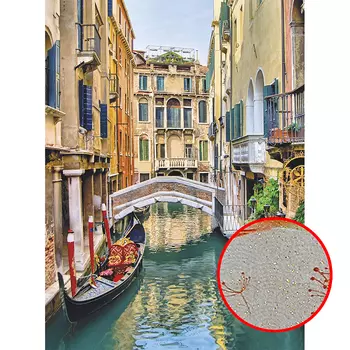 Фреска Ortograf