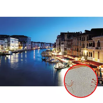 Фреска Ortograf