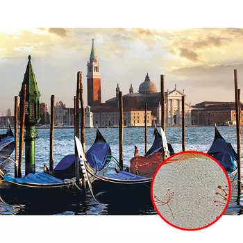 Фреска Ortograf