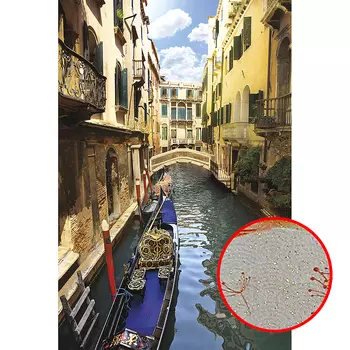 Фреска Ortograf