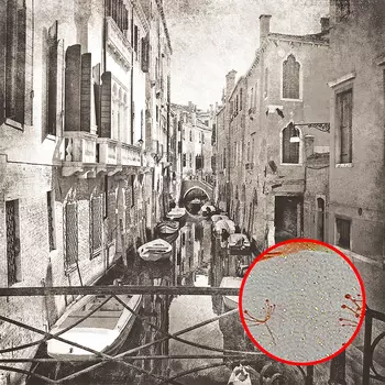 Фреска Ortograf