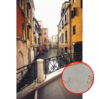 Фреска Ortograf