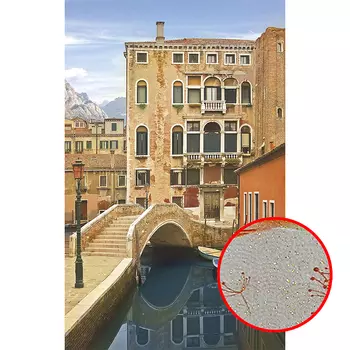 Фреска Ortograf