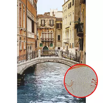 Фреска Ortograf