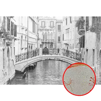 Фреска Ortograf