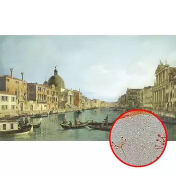 Фреска Ortograf