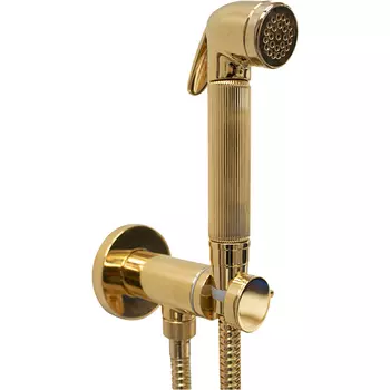 Гигиенический душ со смесителем Bossini