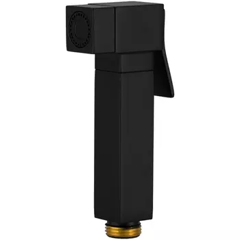 Гигиенический душ Remer