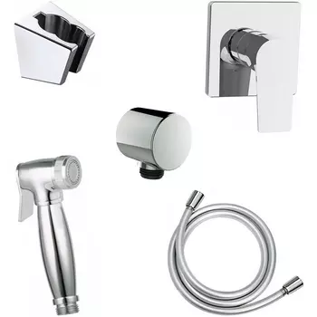 Гигиенический душ со смесителем Aquanet