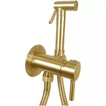 Гигиенический душ со смесителем Paffoni