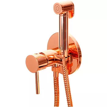 Гигиенический душ со смесителем Remer