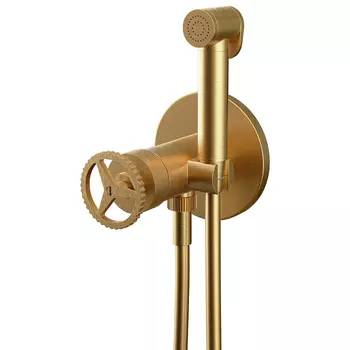 Гигиенический душ со смесителем Remer