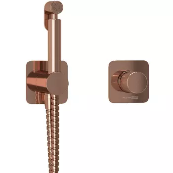 Гигиенический душ со смесителем WasserKRAFT