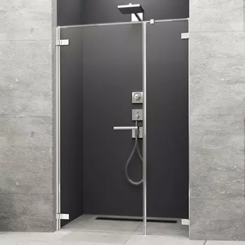 Душевая дверь Radaway