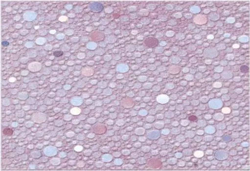 Керамическая плитка Alma Ceramica