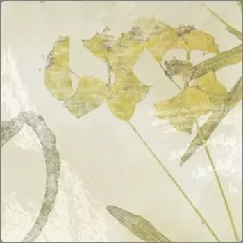 Керамическая плитка Ape