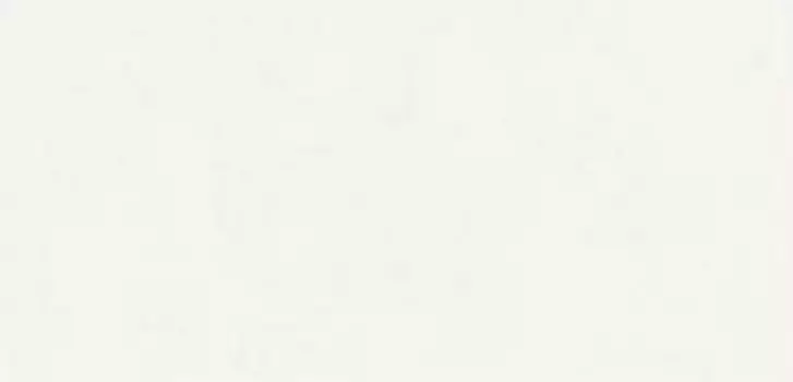 Керамическая плитка Dual Gres