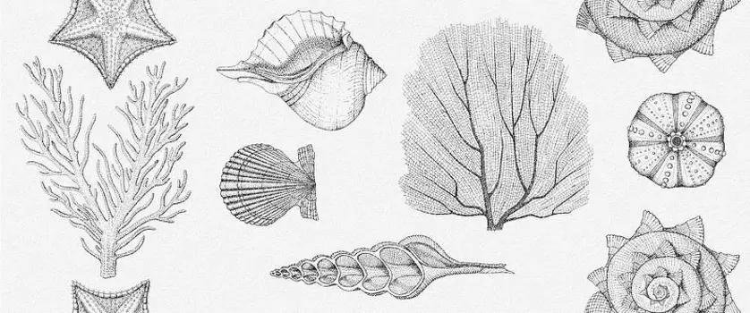 Керамическая плитка Gracia Ceramica