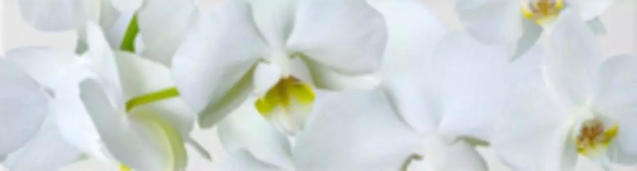 Керамический бордюр Alma Ceramica