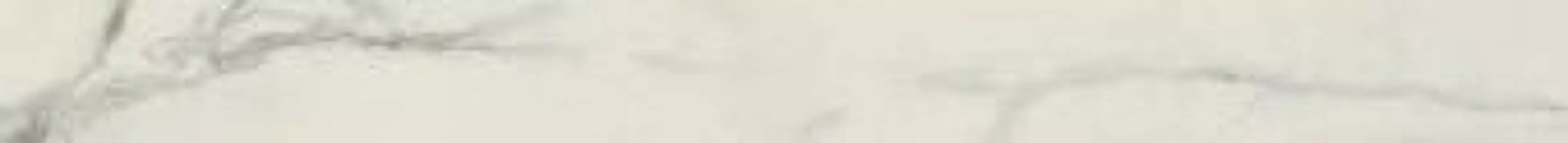 Керамический бордюр Atlas Concorde Russia