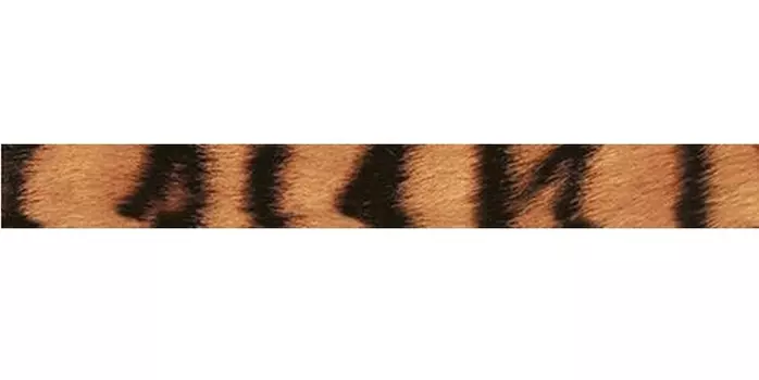 Керамический бордюр Ceramica Classic